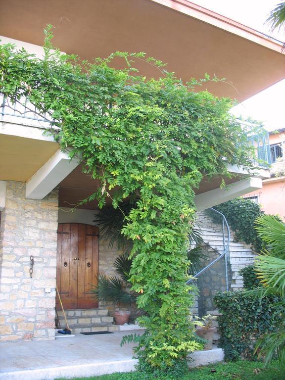 Villa Patrizia Torri Del Benaco Exterior foto